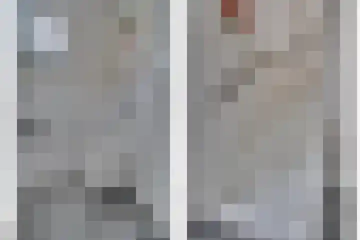 Maashofje 18 en Maasdam