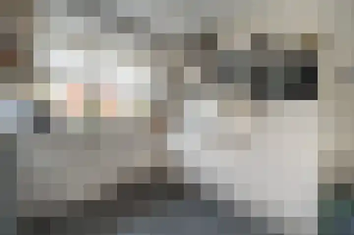 Maashofje 18 Maasdam thumbnail 11