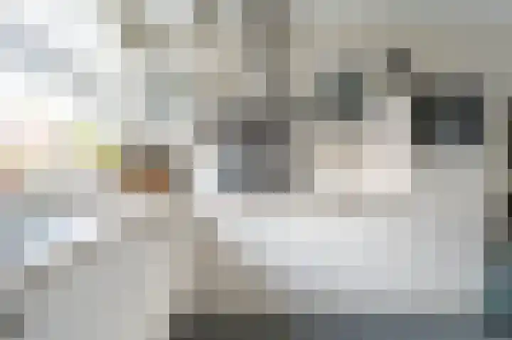 Maashofje 18 Maasdam thumbnail 14