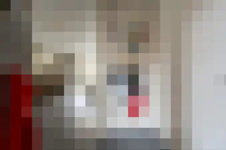 Maashofje 18 Maasdam thumbnail 16