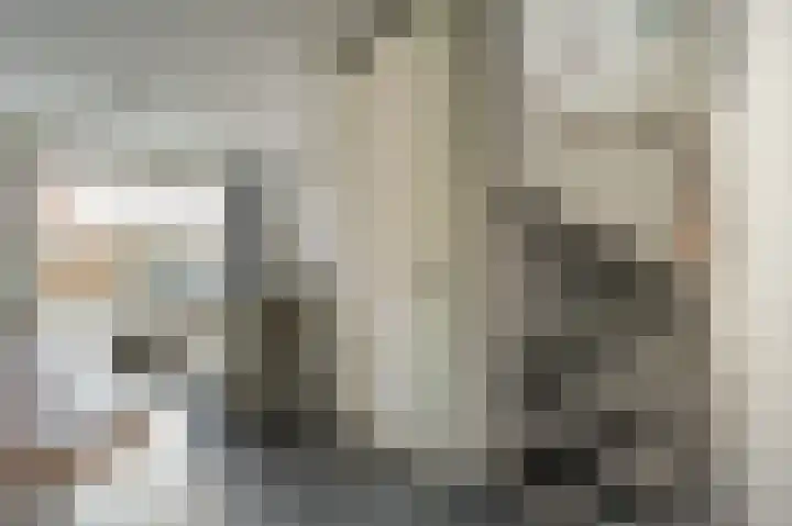 Maashofje 18 Maasdam thumbnail 18