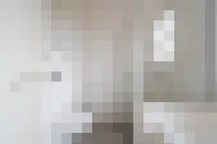 Maashofje 18 Maasdam thumbnail 20