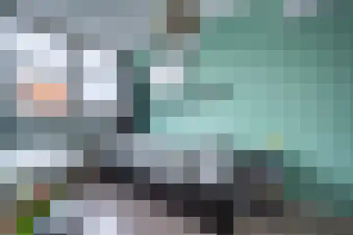 Maashofje 18 Maasdam thumbnail 23