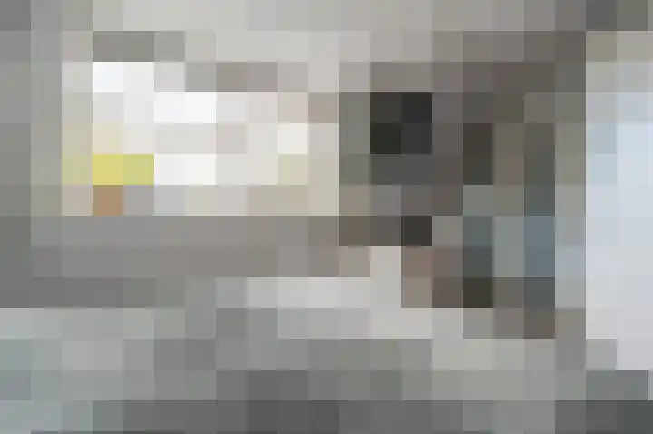 Maashofje 18 Maasdam thumbnail 27