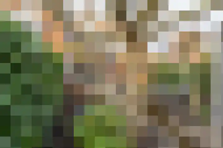 Maashofje 18 Maasdam thumbnail 33