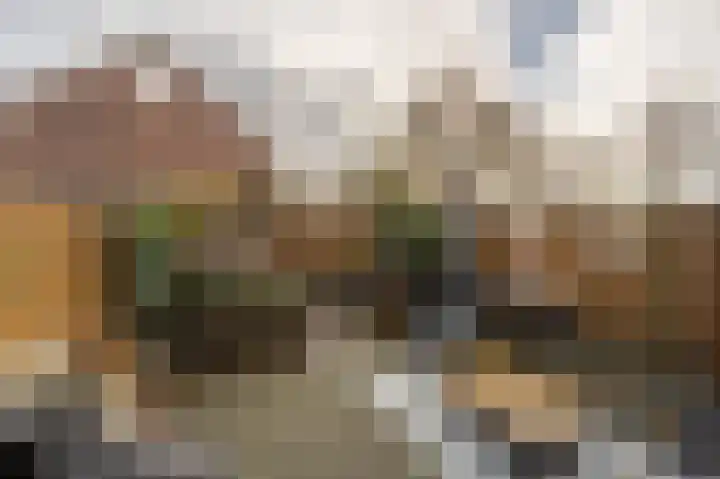 Maashofje 18 Maasdam thumbnail 4
