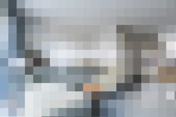 Maashofje 18 Maasdam thumbnail 6