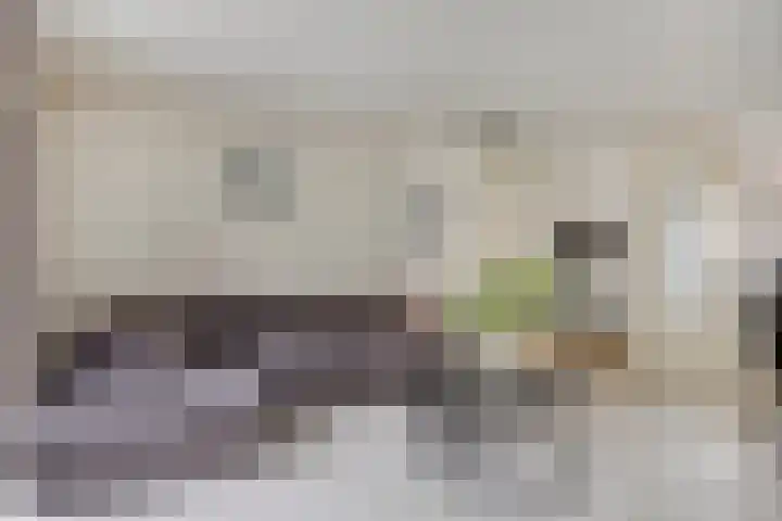 Maashofje 4 Maasdam thumbnail 10