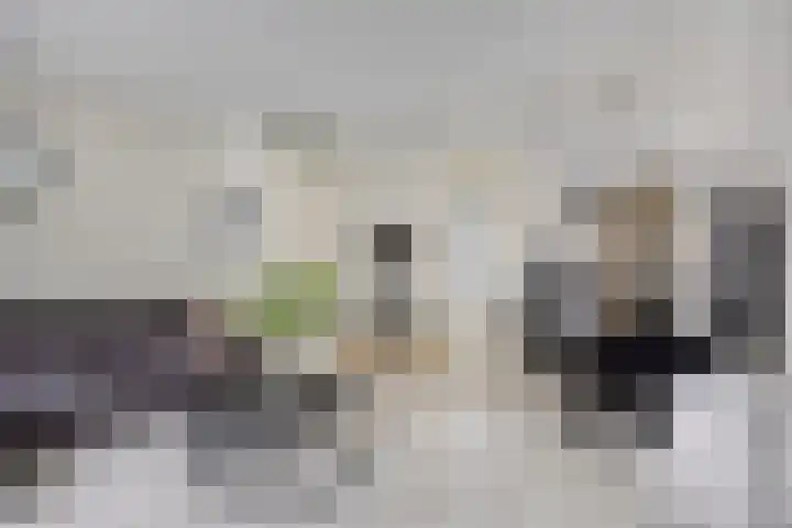 Maashofje 4 Maasdam thumbnail 11
