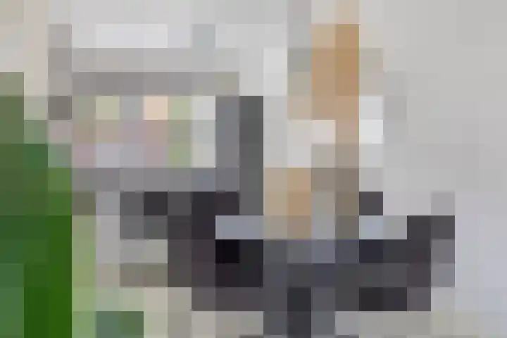 Maashofje 4 Maasdam thumbnail 12