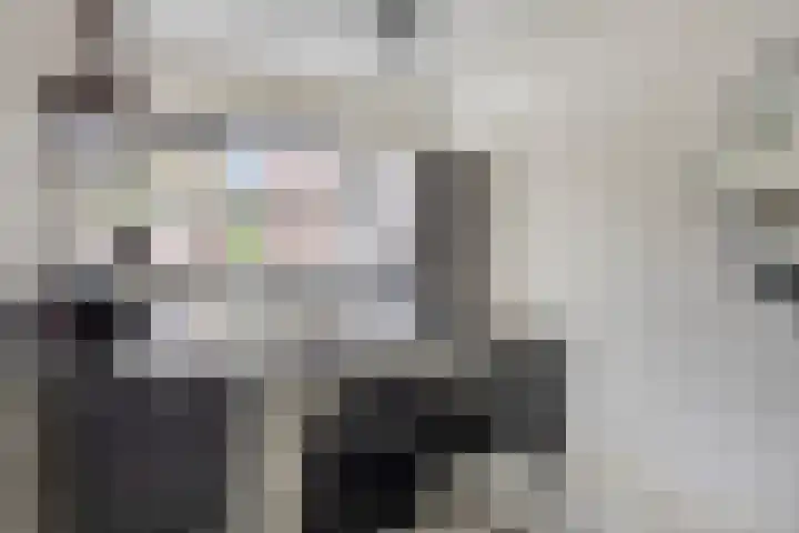 Maashofje 4 Maasdam thumbnail 13
