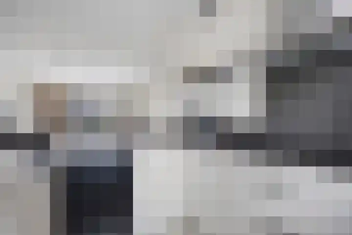 Maashofje 4 Maasdam thumbnail 14