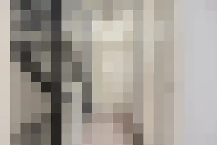 Maashofje 4 Maasdam thumbnail 15
