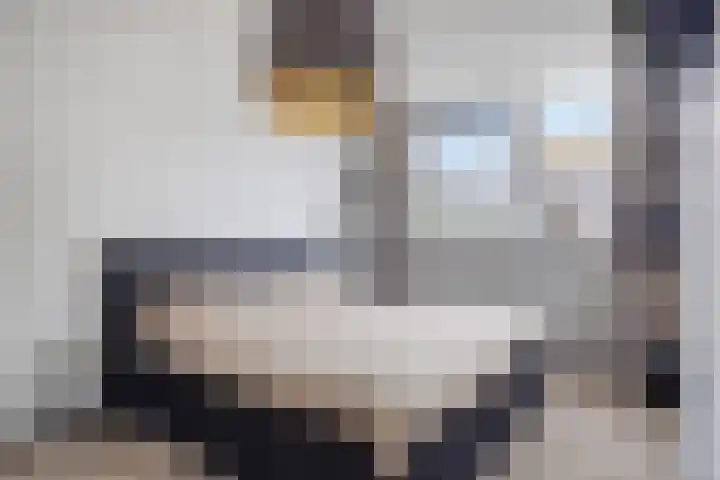 Maashofje 4 Maasdam thumbnail 16