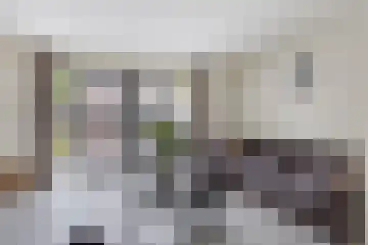 Maashofje 4 Maasdam foto 2