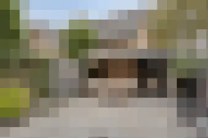 Maashofje 4 Maasdam thumbnail 24