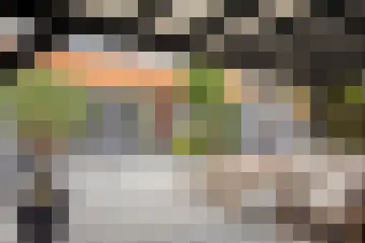 Maashofje 4 Maasdam thumbnail 25