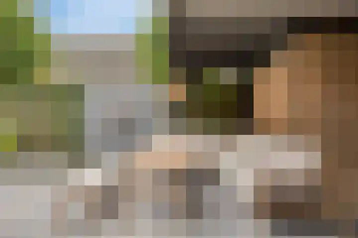Maashofje 4 Maasdam thumbnail 26