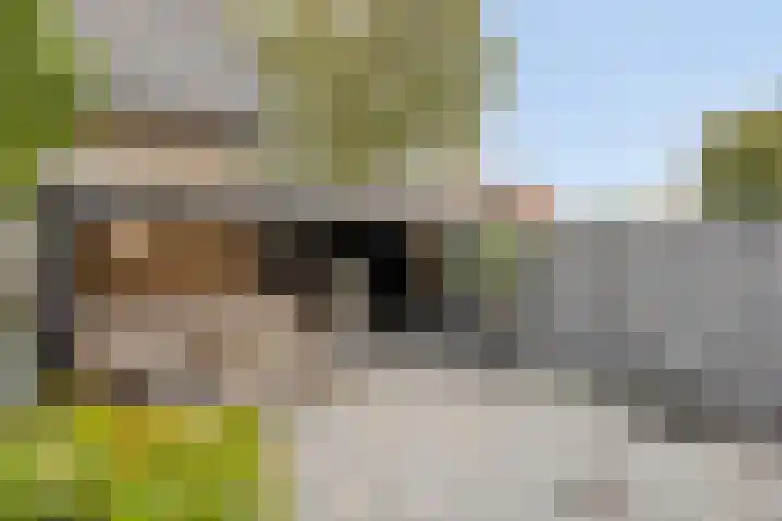 Maashofje 4 Maasdam foto 3