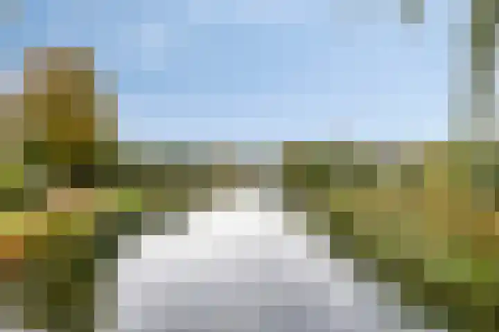 Maashofje 4 Maasdam thumbnail 30