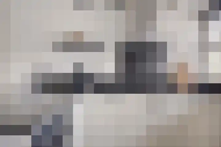 Maashofje 4 Maasdam thumbnail 4