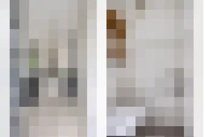 Maashofje 4 Maasdam thumbnail 5