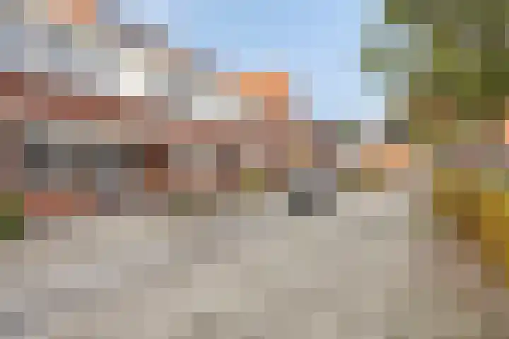Maashofje 4 Maasdam thumbnail 8