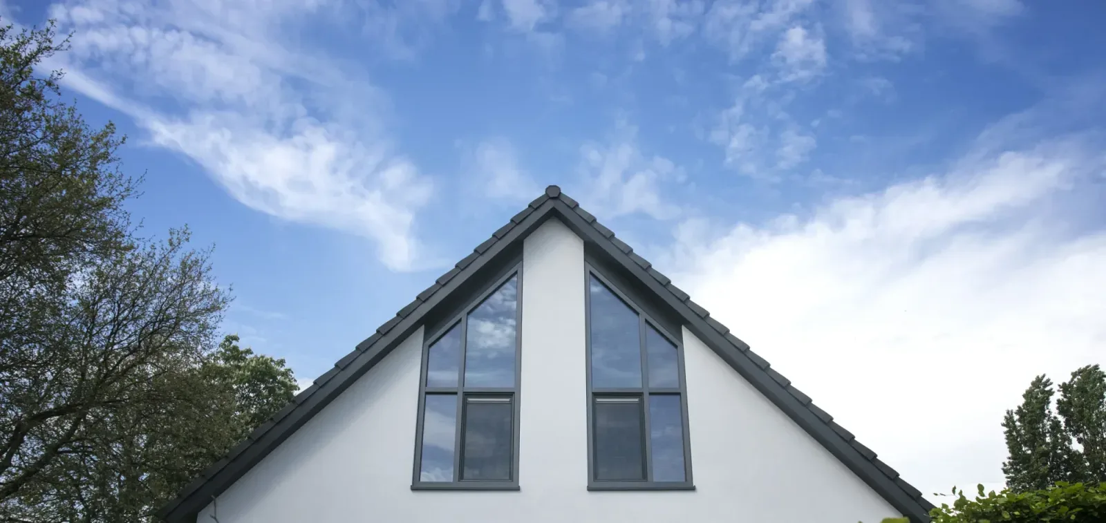 Team photo of Maashorst Makelaardij