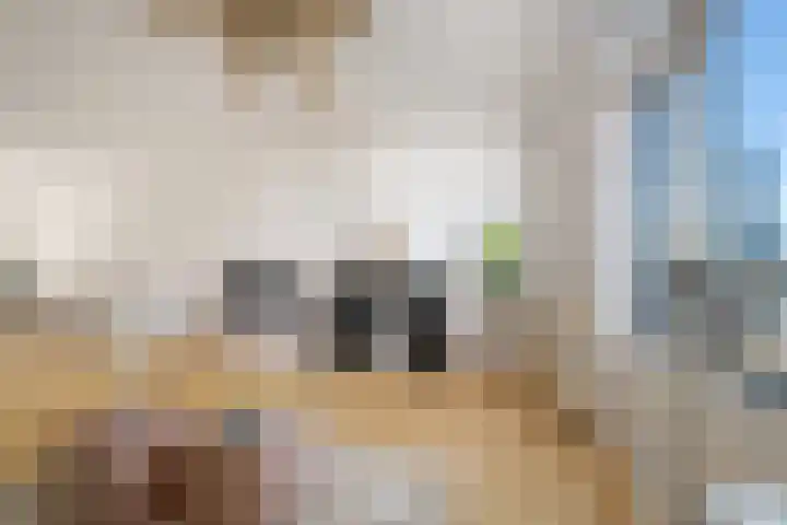 Maaskade 136 B Rotterdam thumbnail 11