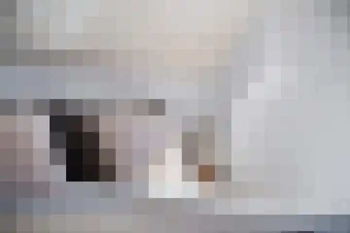 Maaskade 136 B Rotterdam thumbnail 25