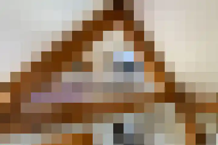 Maaskade 136 B Rotterdam thumbnail 32