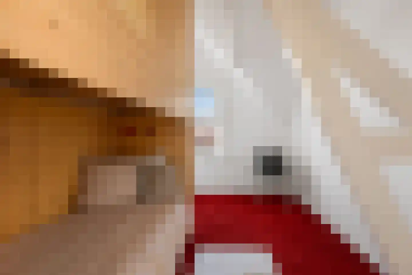 Maaskade 136 C 02 Rotterdam thumbnail 26
