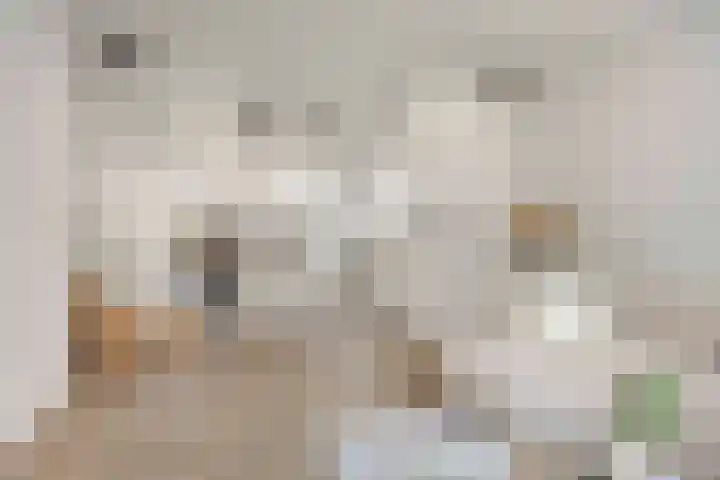 Maaskade 137 D Rotterdam thumbnail 14