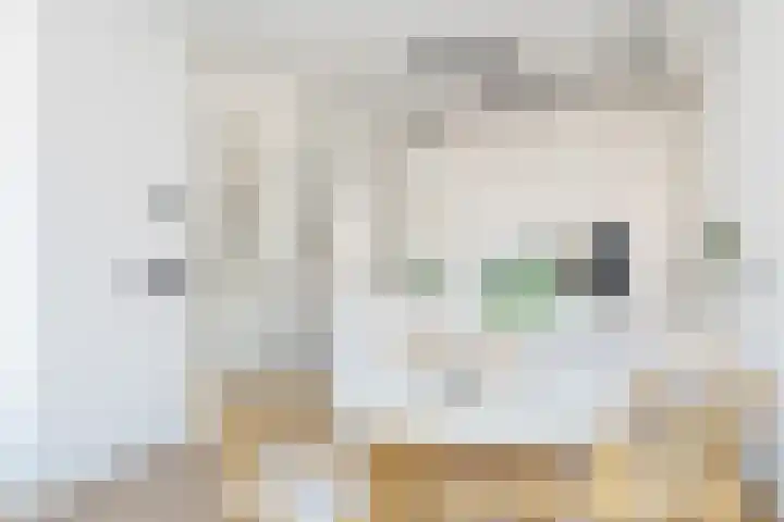 Maaskade 137 D Rotterdam thumbnail 14
