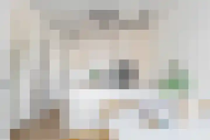 Maaskade 137 D Rotterdam thumbnail 15