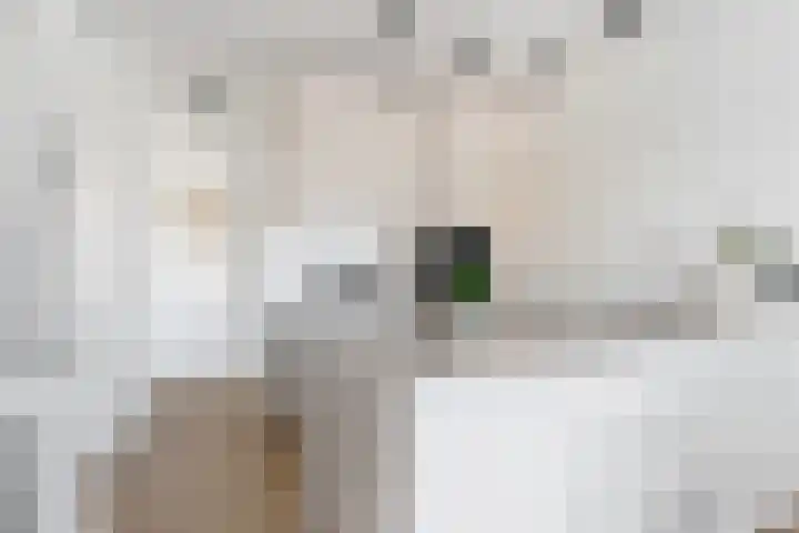 Maaskade 137 D Rotterdam thumbnail 17