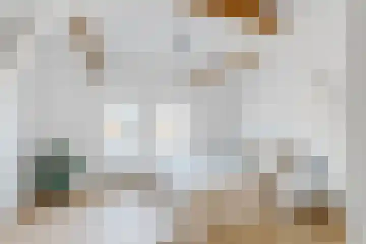 Maaskade 137 D Rotterdam thumbnail 27