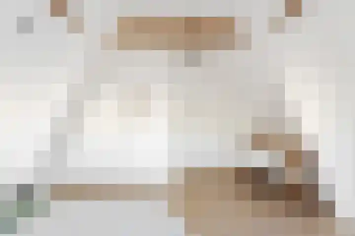 Maaskade 137 D Rotterdam thumbnail 29