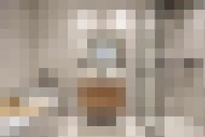 Maaskade 137 D Rotterdam thumbnail 32