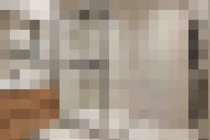 Maaskade 137 D Rotterdam thumbnail 33