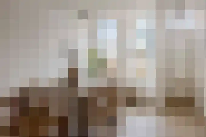 Maaskade 137 D Rotterdam thumbnail 5