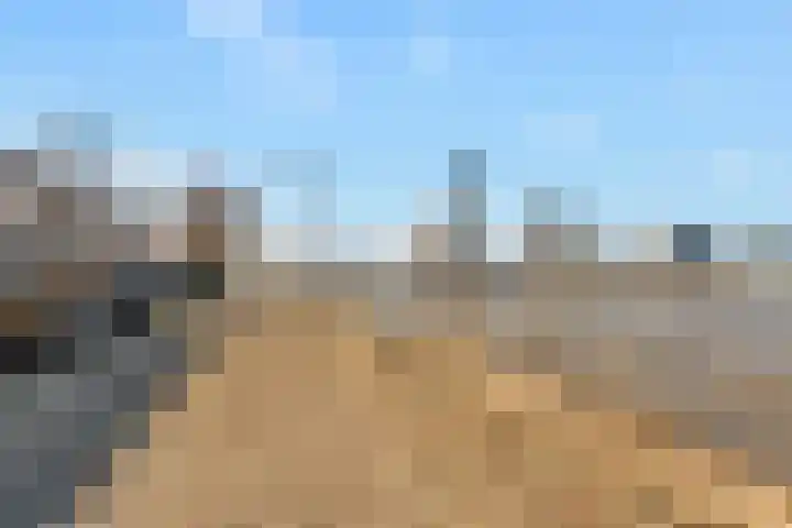 Maaskade 137 D Rotterdam thumbnail 5