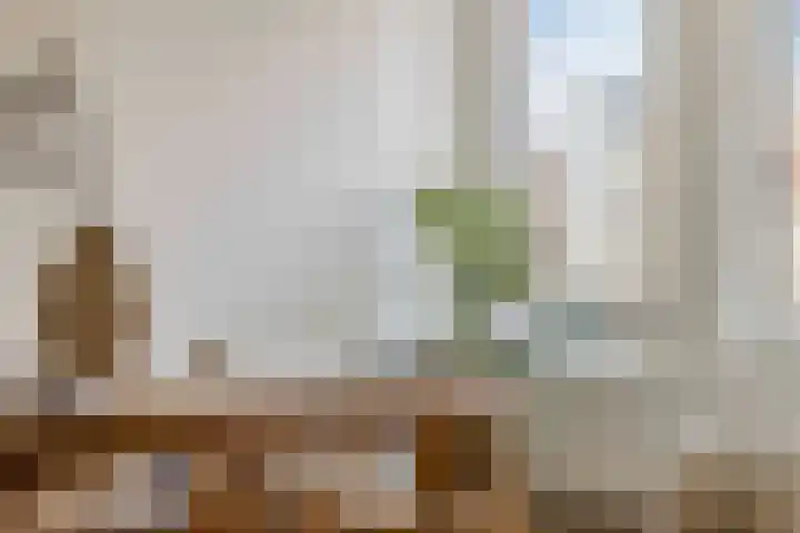 Maaskade 137 D Rotterdam thumbnail 6