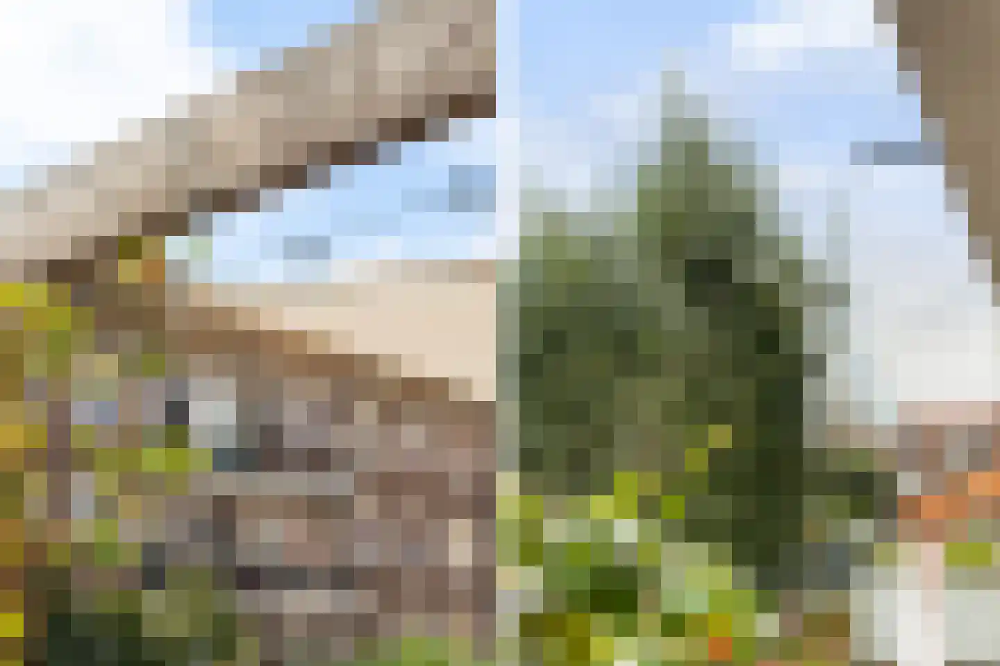 Maaskade 150 B Rotterdam thumbnail 17