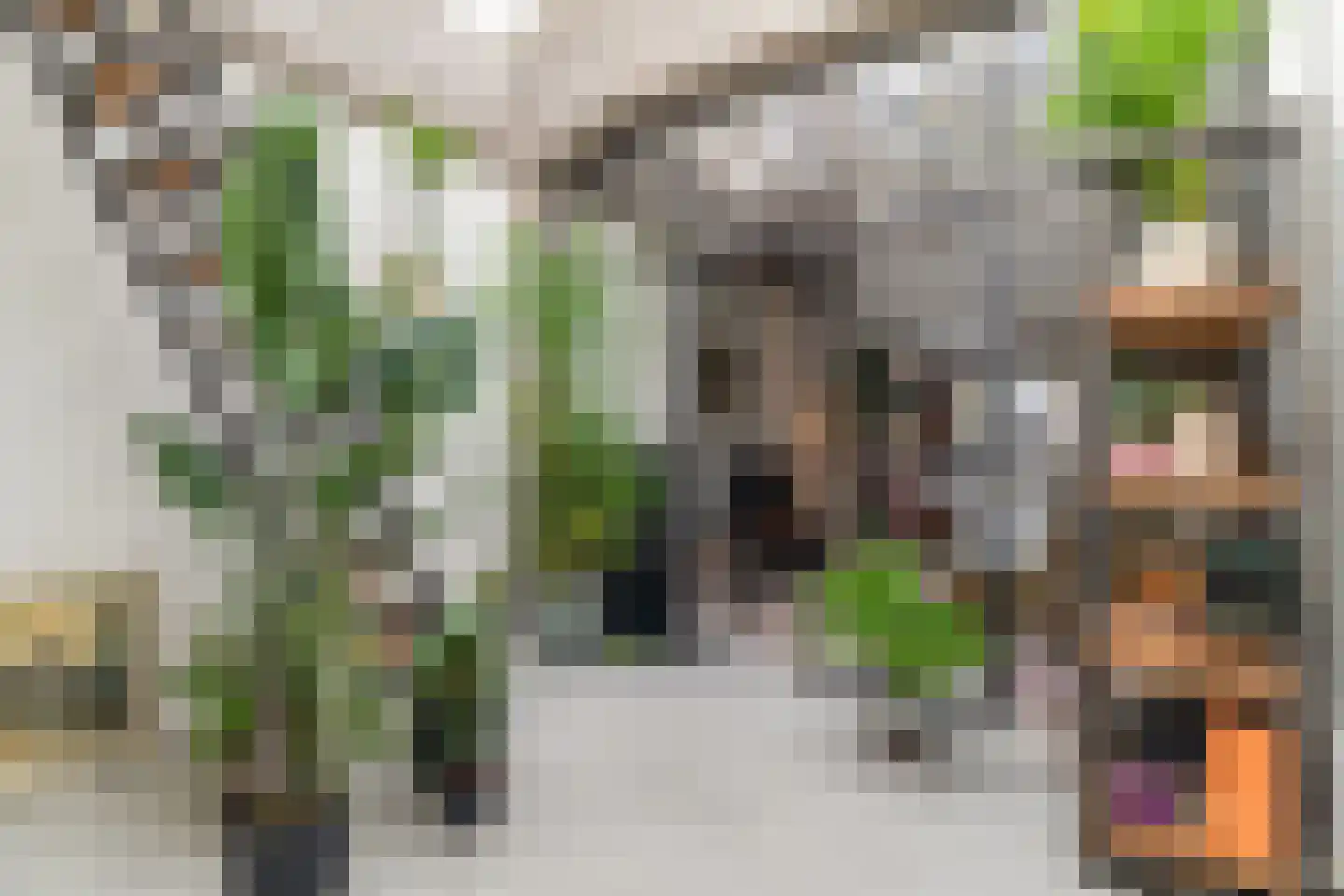 Maaskade 155 A Rotterdam thumbnail 4