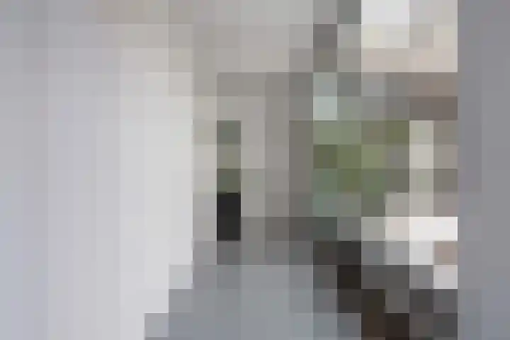 Maaskade 156 A Rotterdam thumbnail 22
