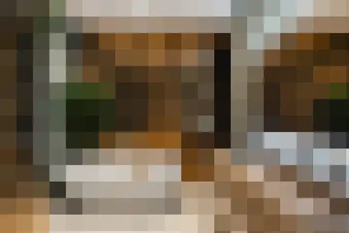 Maaskade 156 A Rotterdam thumbnail 4