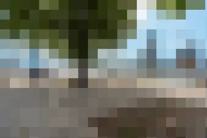 Maaskade 156 A Rotterdam thumbnail 5