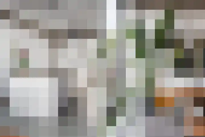 Maaskade 156 A Rotterdam thumbnail 9