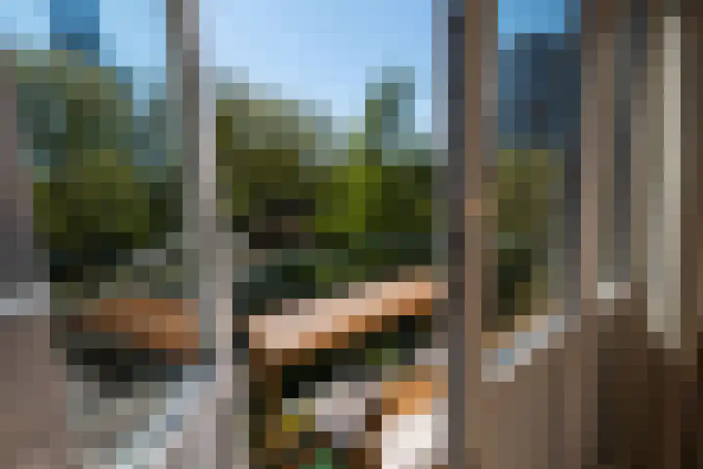 Maaskade 171 C Rotterdam thumbnail 12